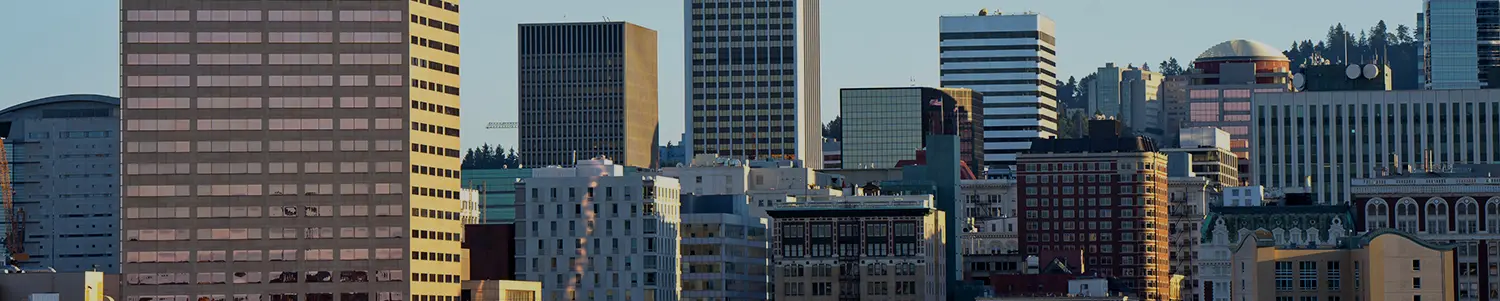 Banner image